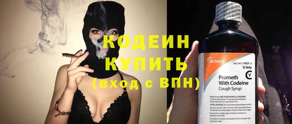 стаф Балахна