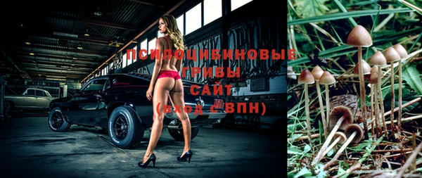 мяу мяу мука Беломорск