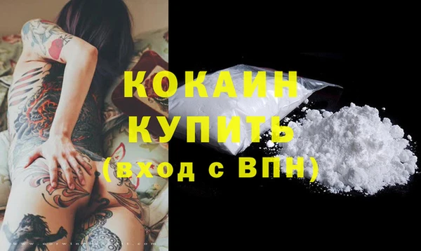 стаф Балахна