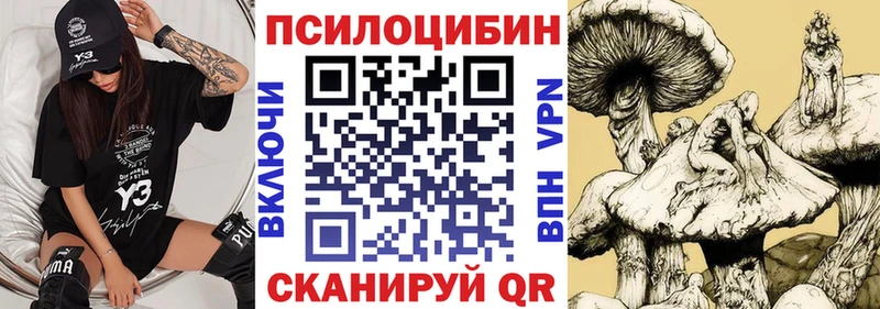 магазин  наркотиков  omg зеркало  Псилоцибиновые грибы ЛСД  Городище 